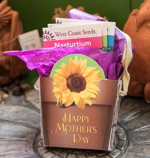 Mother's Day Gift Bag