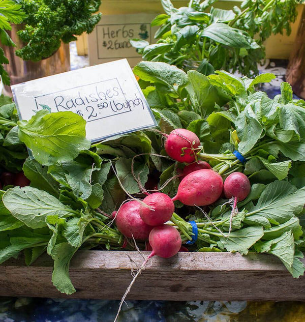 Seeds to Sow Mid-August