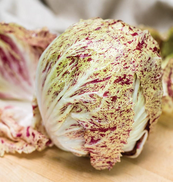 Seeds to Start in July