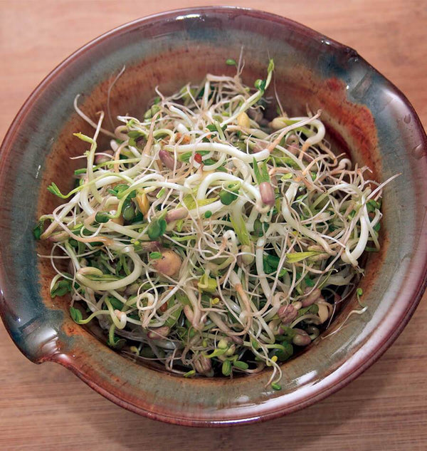 Commit to Grow Day 6: Sprouts