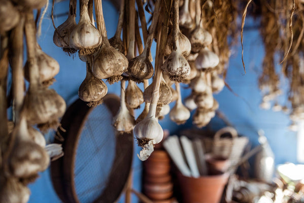 All About Garlic