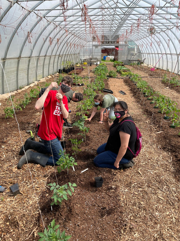 Providence Farm: Community Support in the Cowichan Valley