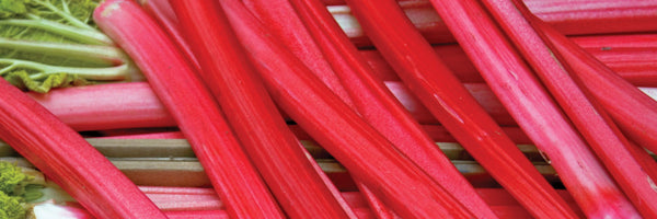 About Rhubarb