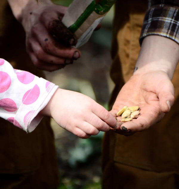 How to Grow a School Garden in September