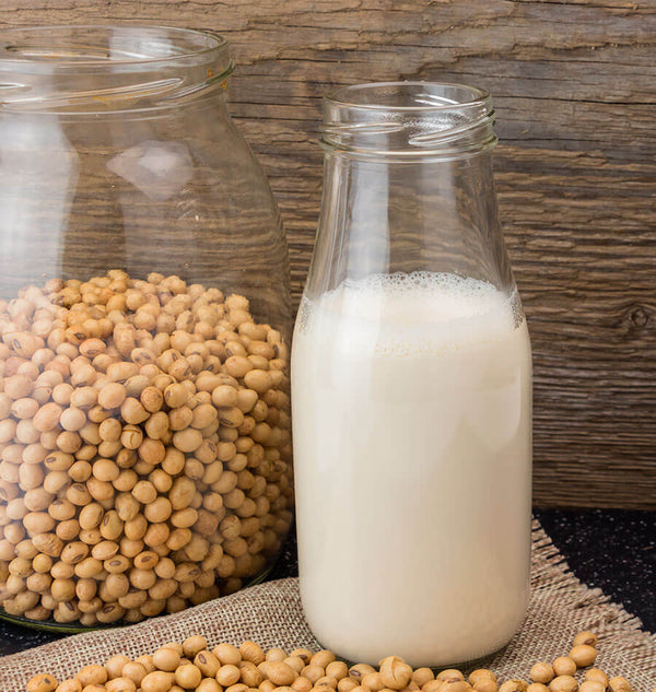 Home Made Soy Milk Recipe